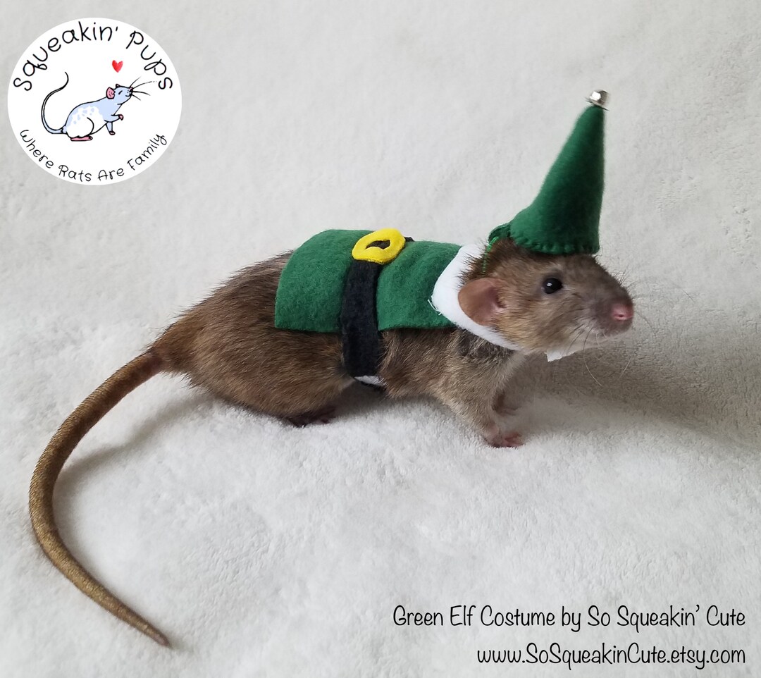 animals dressed up for christmas Cat Dog Christmas Outfit Pet Costume Cape,Santa Christmas Cat Clothes Cloak with Xmas Hat,Soft and Cute Elk Style Apparel for Cats and Puppy,Funny